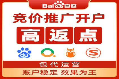搜索开户返点揭秘：成功案例教你赚钱